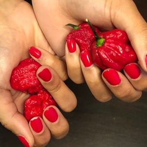 Meet your Posher, Dey